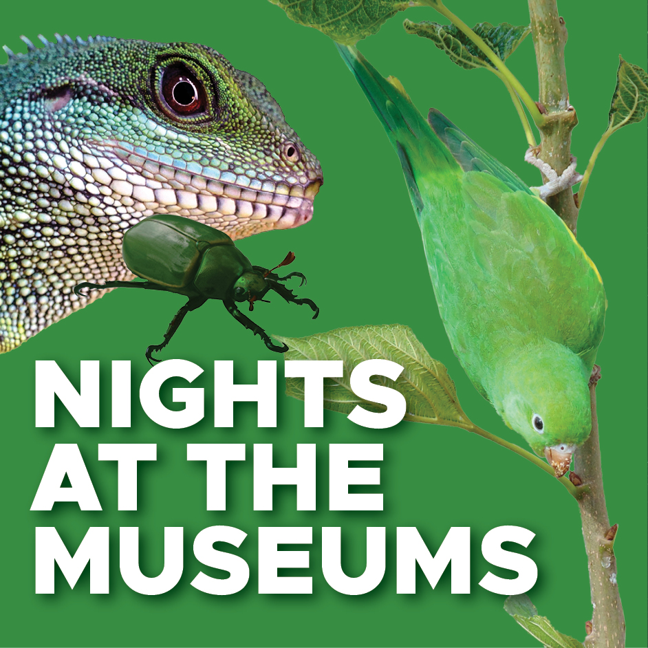 Nights at the Museums